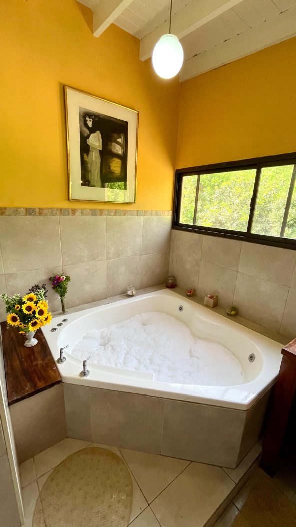 Bañera de hidromasaje con vista al parque